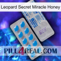 Leopard Secret Miracle Honey new15